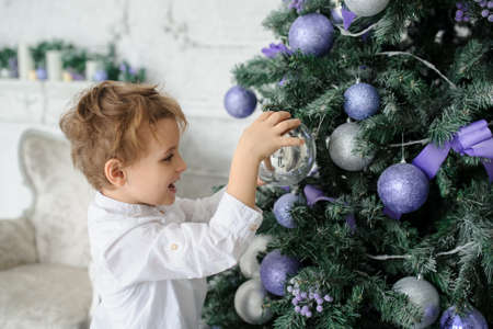A 6-year blond boy decorating the Christmas tree with purple toysの写真素材
