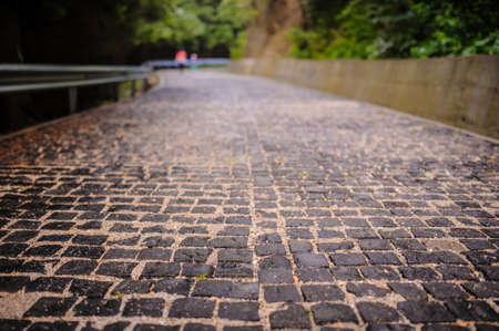 a stone path in a forestの写真素材