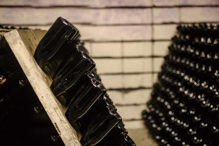 Storage hall of white sparkling wine bottles in the winary cellarの写真素材