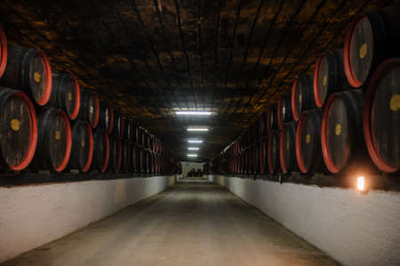 wine wooden barrels inside the undeground tunnels of a wineryの写真素材