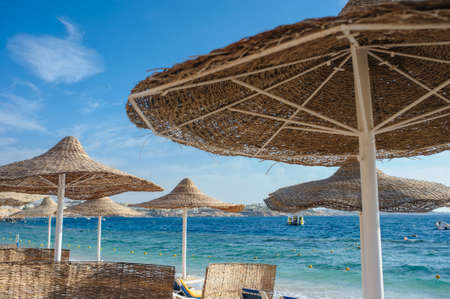 Thatched beach umbrellas and loungers on a beach at an idyllic tropical resort for a summer vacationの写真素材