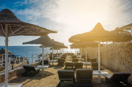 Thatched beach umbrellas and loungers on a beach at an idyllic tropical resort for a summer vacationの写真素材