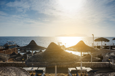 Thatched beach umbrellas and loungers on a beach at an idyllic tropical resort for a summer vacationの写真素材