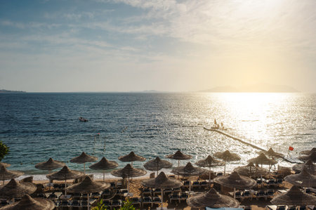 Thatched beach umbrellas and loungers on a beach at an idyllic tropical resort for a summer vacationの写真素材