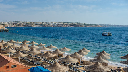 Thatched beach umbrellas and loungers on a beach at an idyllic tropical resort for a summer vacationの写真素材