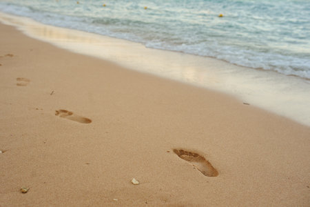 Footprints of human feet on the sand near the water on the beachの写真素材