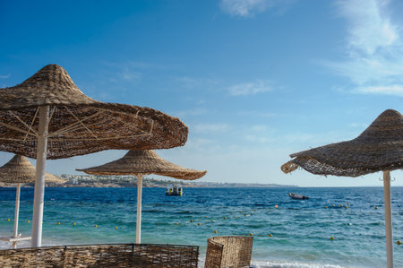Thatched beach umbrellas and loungers on a beach at an idyllic tropical resort for a summer vacationの写真素材