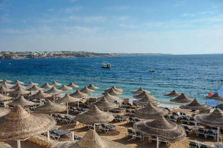 Thatched beach umbrellas and loungers on a beach at an idyllic tropical resort for a summer vacationの写真素材