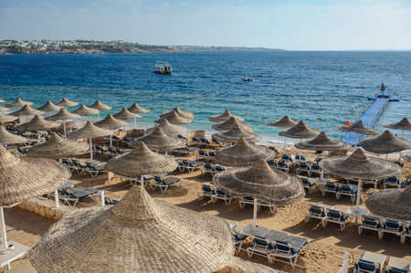 Thatched beach umbrellas and loungers on a beach at an idyllic tropical resort for a summer vacationの写真素材