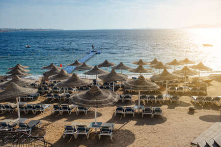 Thatched beach umbrellas and loungers on a beach at an idyllic tropical resort for a summer vacationの写真素材