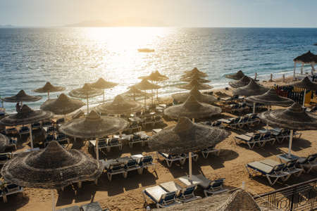 Thatched beach umbrellas and loungers on a beach at an idyllic tropical resort for a summer vacationの写真素材