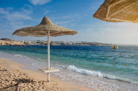 Thatched beach umbrellas and loungers on a beach at an idyllic tropical resort for a summer vacationの写真素材