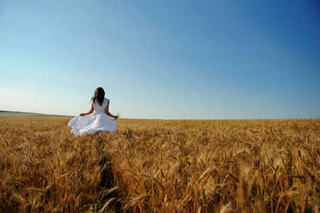 back view of a woman in white dress in wheat fieldの写真素材