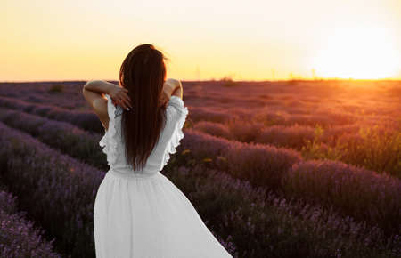 Back view of a young woman in white dress walking in the lavender field. Lavender flowers in bloom.の写真素材