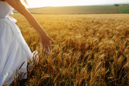 back view of a woman in white dress in wheat fieldの写真素材