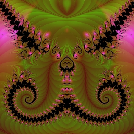 Fractalの写真素材
