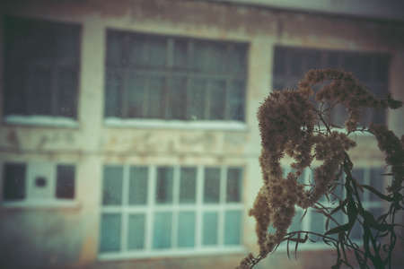 ÑÐ¾ÑÐ¾ ÑÐ°ÑÑÐµÐ½Ð¸Ñ Ð½Ð° ÑÐ¾Ð½Ðµ Ð·Ð´Ð°Ð½Ð¸Ñ Ð·Ð¸Ð¼Ð¾Ð¹のeditorial素材