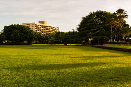 Green lawn with buildingのeditorial素材