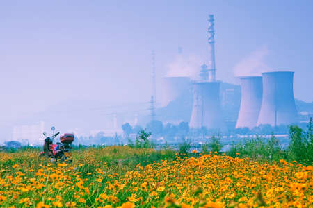 Garden with yellow flowers and factory at the backgroundのeditorial素材