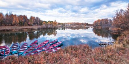 Boats and yellow trees with riverside sceneryの写真素材