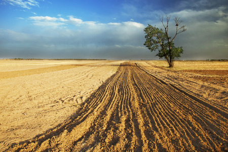landscape of the Prairieの写真素材
