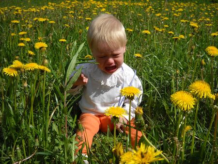 Petrozavodsk / Russia - July 01, 2019: a little boy with blond hair cries heavily, sitting in the green grass and yellow dandelions. The kid is wearing a white shirt with frill and orange tightsのeditorial素材