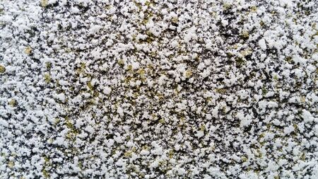 Concrete plaster coating. The facade is uneven, rough to the touch. An old surface on which moss is visible. Close-up. Gray, white, red, dark, swamp blotchesの写真素材