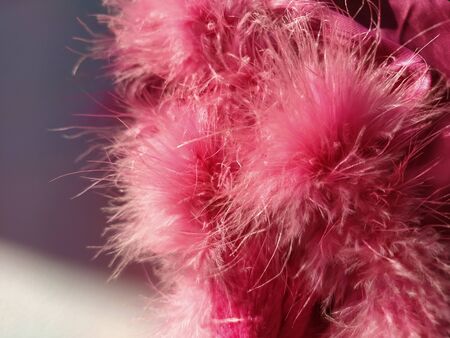 Pink faux fur or pink colored natural bird feathers close-up. Light feathers boa. Delicate texture. Greeting card Happy Valentines Day. Collar from a women's or girl's jacket. Bright pink or color.の写真素材