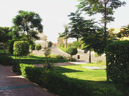 Hurghada, Egypt, March 25, 2020. Beautiful well-groomed plants and lawn. Park or hotel grounds. Tropical flora. Trimmed grass and trees. The road is made of ceramic stone raft. Away - Hotel Buildings.のeditorial素材