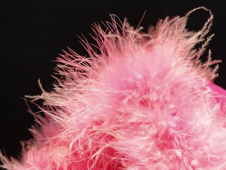 Delicate pink fluff on a black background. Real fur with a long pile. Close-up. Boa or cosmetic brush. Graceful details. Soft focus. Blurred image.の写真素材