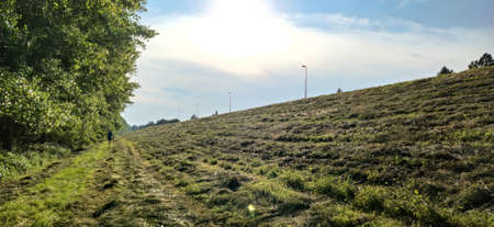 Sremska Mitrovica, Serbia, July 02, 2020. Mown grass in the meadow gradually dries up and turns into hay. Evening sunlight. People walking along the forest stripの写真素材