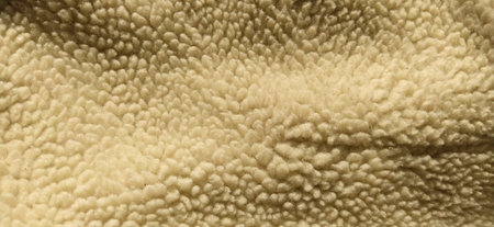 Sheepskin, sheep fur. The inner side of a coat or jacket, trimmed with natural or artificial sheep...