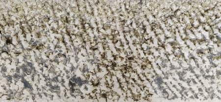 White marble natural pattern for background. marble surface. Sarajevo, Bosnia and Herzegovina,...