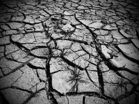 Deep cracks in the land as a symbol of hot climate and drought. Desert and cracked ground. Uneven, swollen ground. Ecological and natural theme. Vignetting. Black and white monochrome.の写真素材