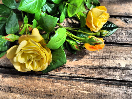 yellow roses on a wooden background. Beautiful bouquet of 3 roses on a dark wooden table. Greeting card with 8 March, Mother's Day or Valentine's Day.の写真素材
