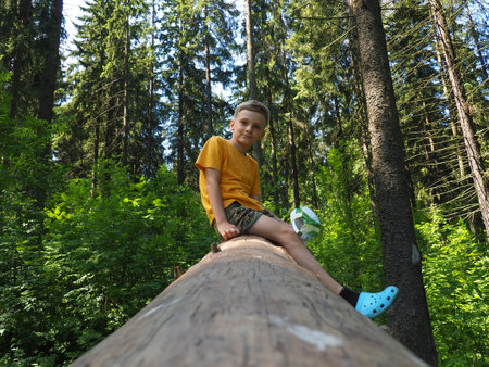 An 8-year-old blonde boy sits on the trunk of a large roll of fallen softwood tree. A child in the woods. The boy climbed on the trunk of the tree. Summer adventures during the holidays. Walking in the spruce forest.の写真素材