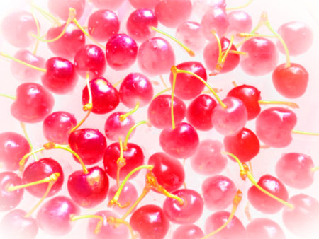 cherry background. Juicy ripe delicious cherry or sweet cherry close-up from the side. Summer fruits...