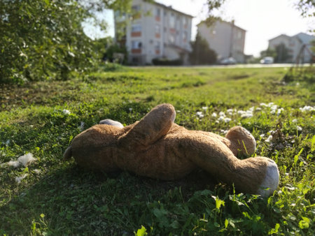 An unnecessary forgotten toy on the grass. A torn teddy bear lies on the ground. Violence and forgetfulness concept. White cotton wool is visible from the bears chest. The filler is around the toyの写真素材