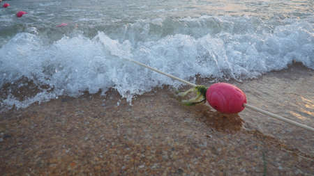 Buoys on a rope near sea water. The buoys are pink restraints to alert people to the depth of the water. Rescue of the drowning. Delimiting a place on a sandy beach between hotels. Wave with bubbles.の写真素材