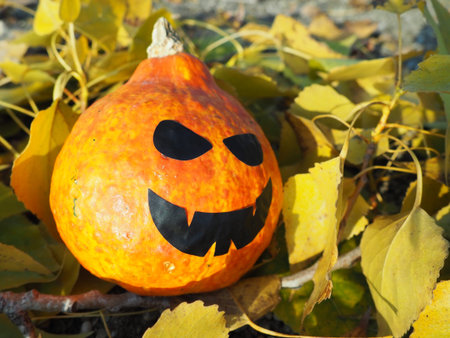 Halloween pumpkin with black mouth and eye stickers. The orange vegetable pumpkin lies on the autumn...
