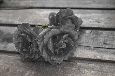 Three roses. Wooden background. Please accept our condolences. Mourning or an expression of regret....