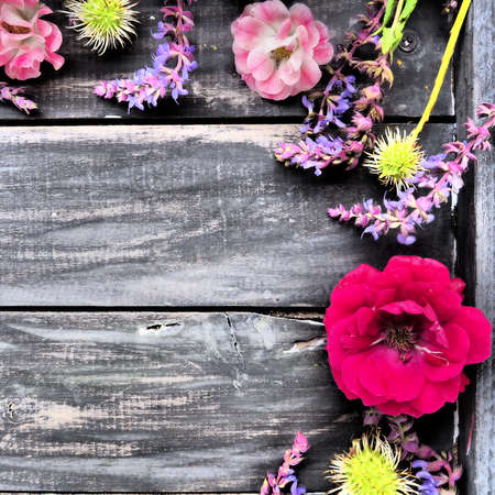 Flowers in a semicircle on a wooden background. Postcard for the holiday. Roses, lavender, sage and hairy chestnuts along the edges on dark boards. Background copy space, flat lay. Festive posterの写真素材