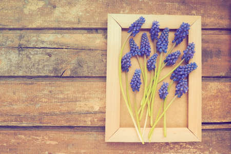 Blue spring flowers on a wooden photo frame. Muscari armeniacum on a wooden background. Bright postcard, congratulations. Copy space still life flat lay. Retro vintage style. Armenian grape hyacinthの写真素材