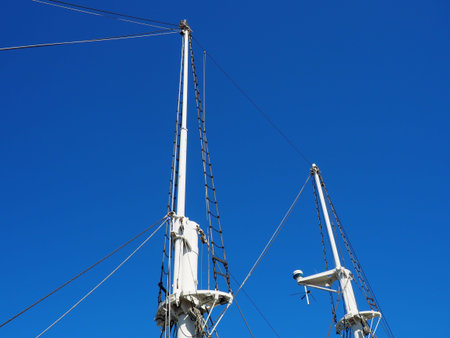 A mast, a vertically standing structure on a ship supported by braces, the so-called watts, part of...