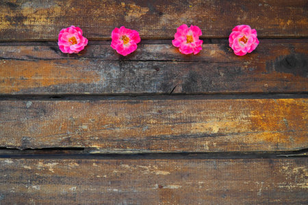 Buds of spray pink terry roses on a wooden background. Four beautiful roses are laid out on the...