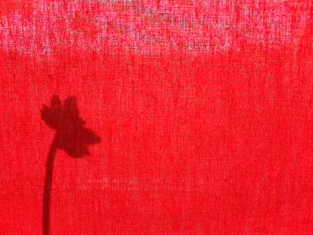 The shadow of geranium flowers on a dense red curtain that transmits sunlight and reflects the...