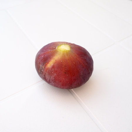 Fig or fig tree, or common fig tree, or Ficus carica is a subtropical deciduous plant of the genus Ficus of the Mulberry family. Ripe purple fig fruits on a light background. Healthy food.の写真素材