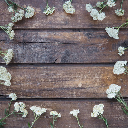 White wildflowers are arranged in a circle on a wooden table background. Yarrow inflorescences. Horizontal boards. Romantic Provence rustic styleの写真素材