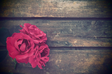 Red roses on a wooden background. Buds of three beautiful roses. Board table or floor.の写真素材