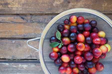 Cherry plum on a wooden background. A yellow-red cherry plum mix just removed from a tree. Delicious fresh plum berries. Appetizing large cherry plum for sale catalog. Food on a wooden backgroundの写真素材